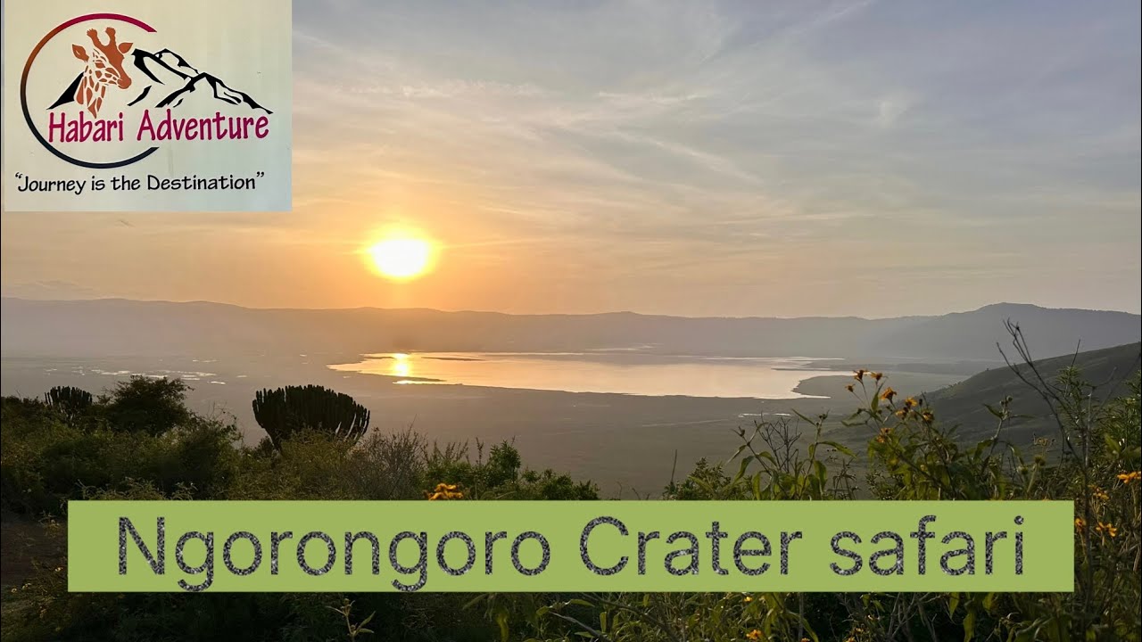NSE #419 Ngorongoro Crater