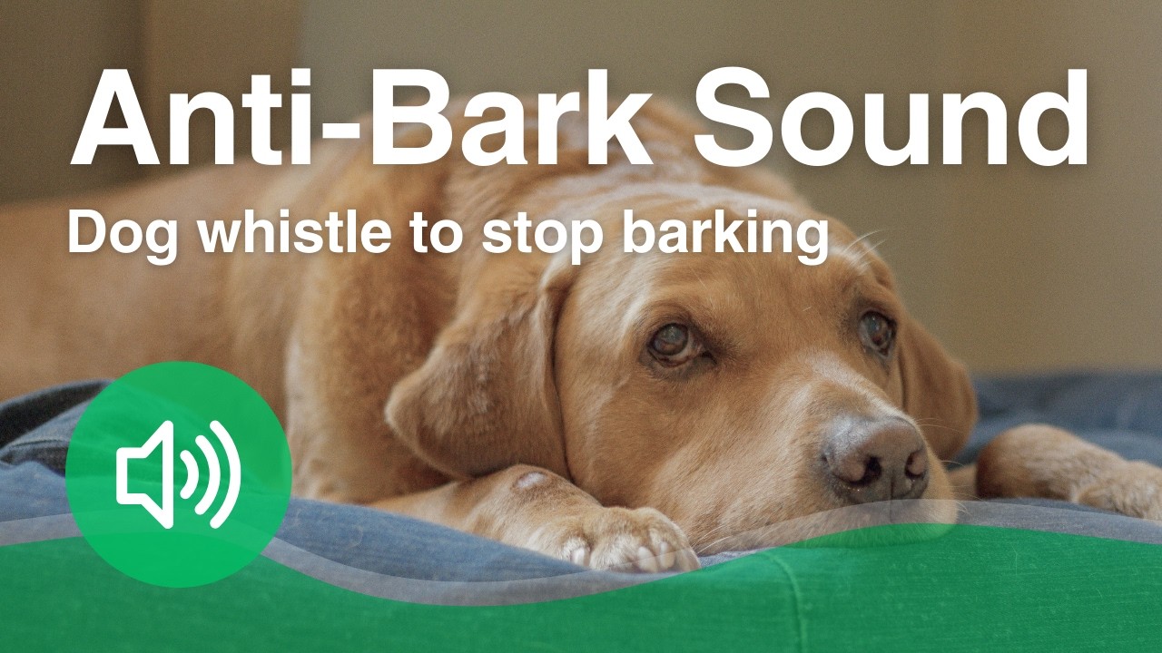 Dog whistle 20kHz Anti-Bark Sound | Helps stop dog barking