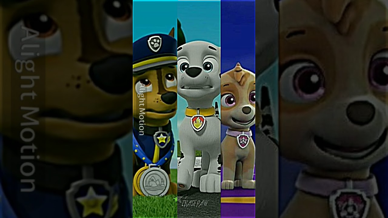 &bull;Untouchable&bull;|Chase Paw #chase #marshall #skye #besttrio #pawpatrol #edit #apoyo