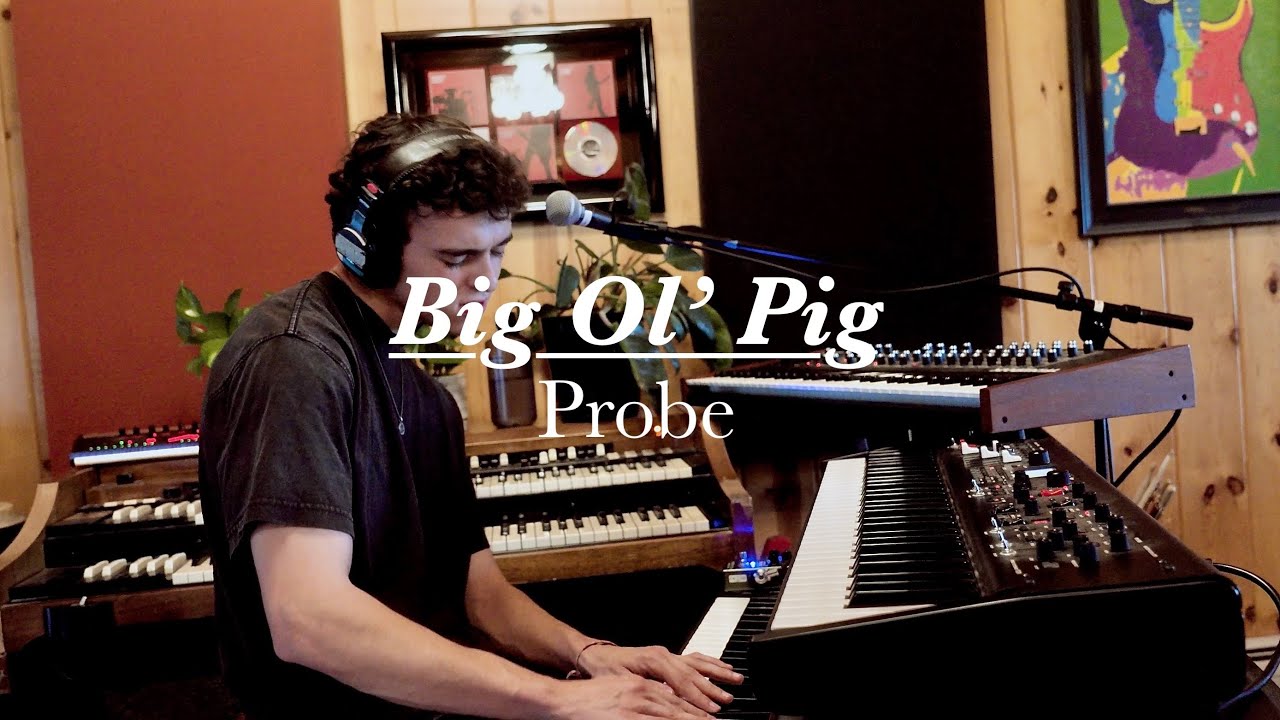 Big Ol' Pig - Probe - The Spot Sessions