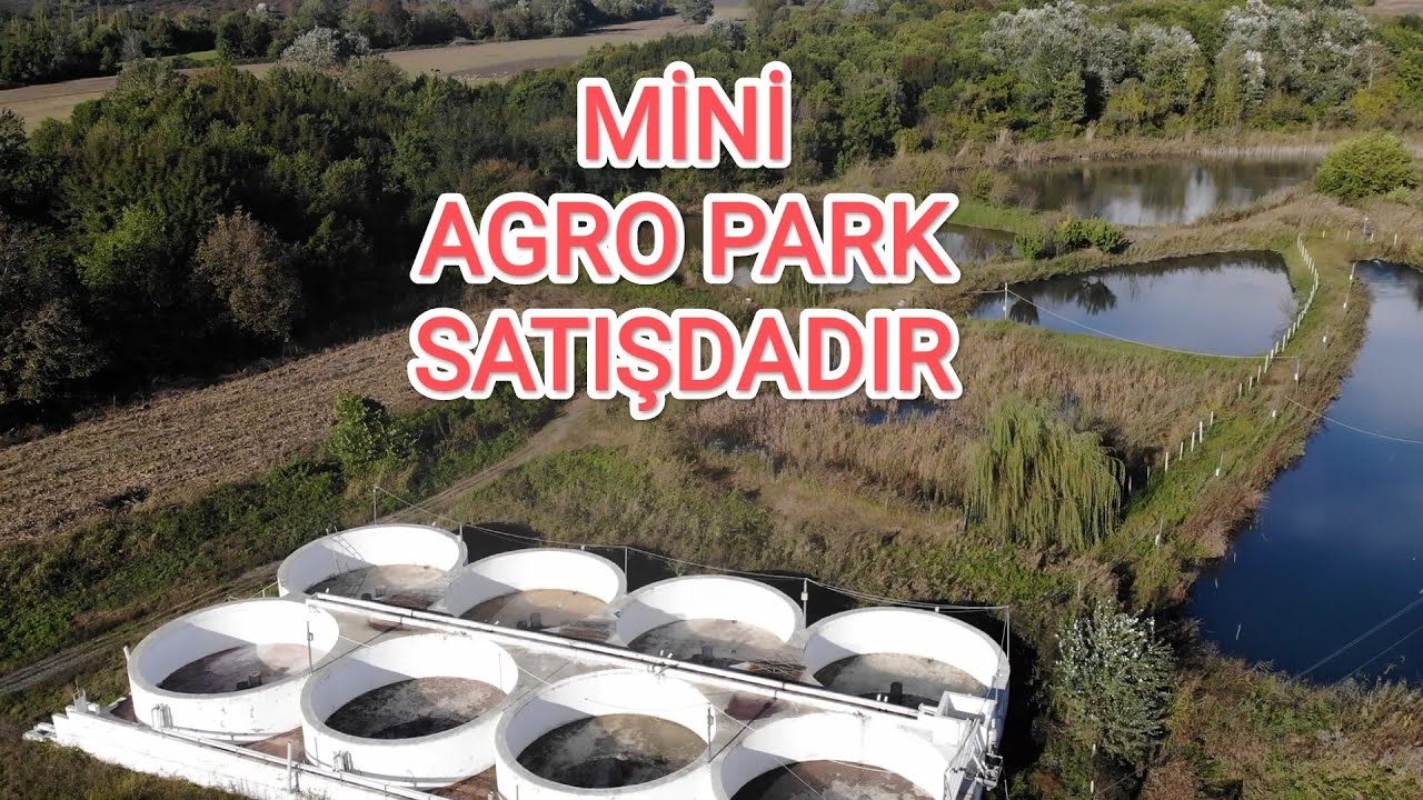 Mini AqroPark Satışdadır.Qax ray Qaratala kəndində 50 ha sahəsi Var