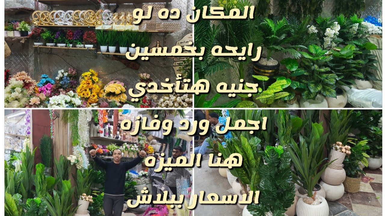 جميع انواع الورود 🌷الصناعيه والنخيل 🌴والاشجار 🌲هنا حارة المزين من ١٠ ج🤩
