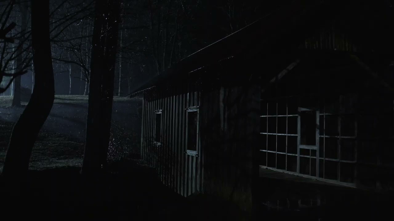 Steady Stream Beneath a Rainy Bridge • 2 Hours of Nature Sounds