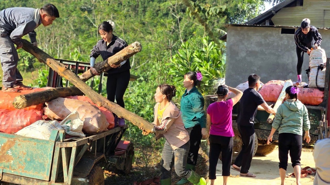 Agricultural vehicle,kind girl helps villagers transport corn and firewood &dangerous road #kindness