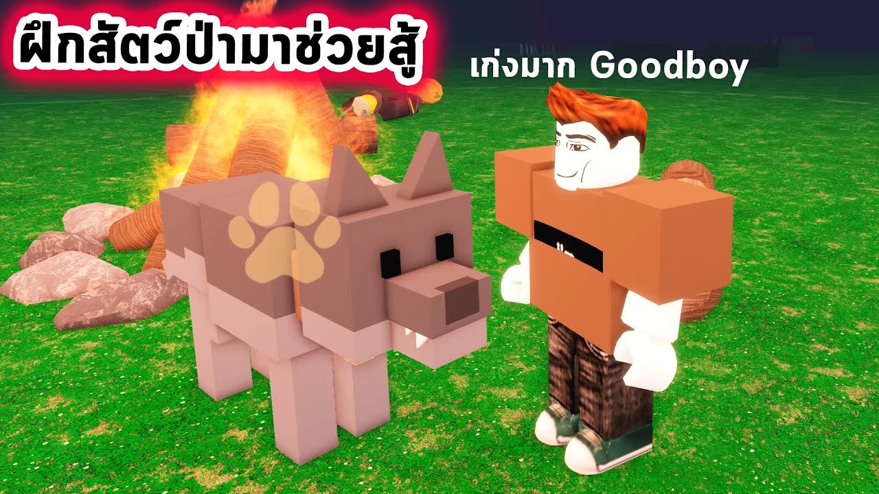 ฝึกสัตว์ป่ามาช่วยสู้ Roblox 99 Nights in the Forest
