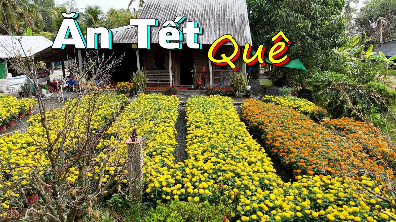 Tết Bính Ngọ 2026 ở quê, chuẩn bị những ngày trước tết