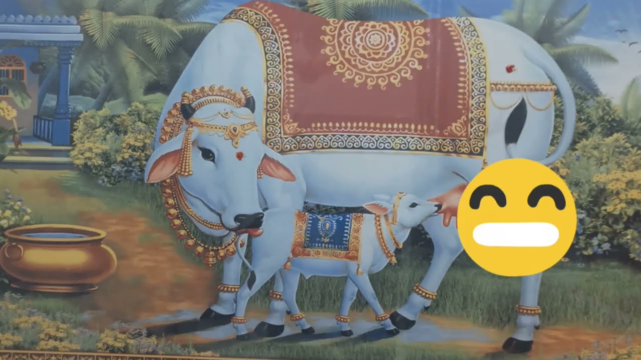  சட்டுன்னு தேவையற்ற முடிகளை நீக்க முடியும் இந்த 3 பொருள்களை வைத்து.