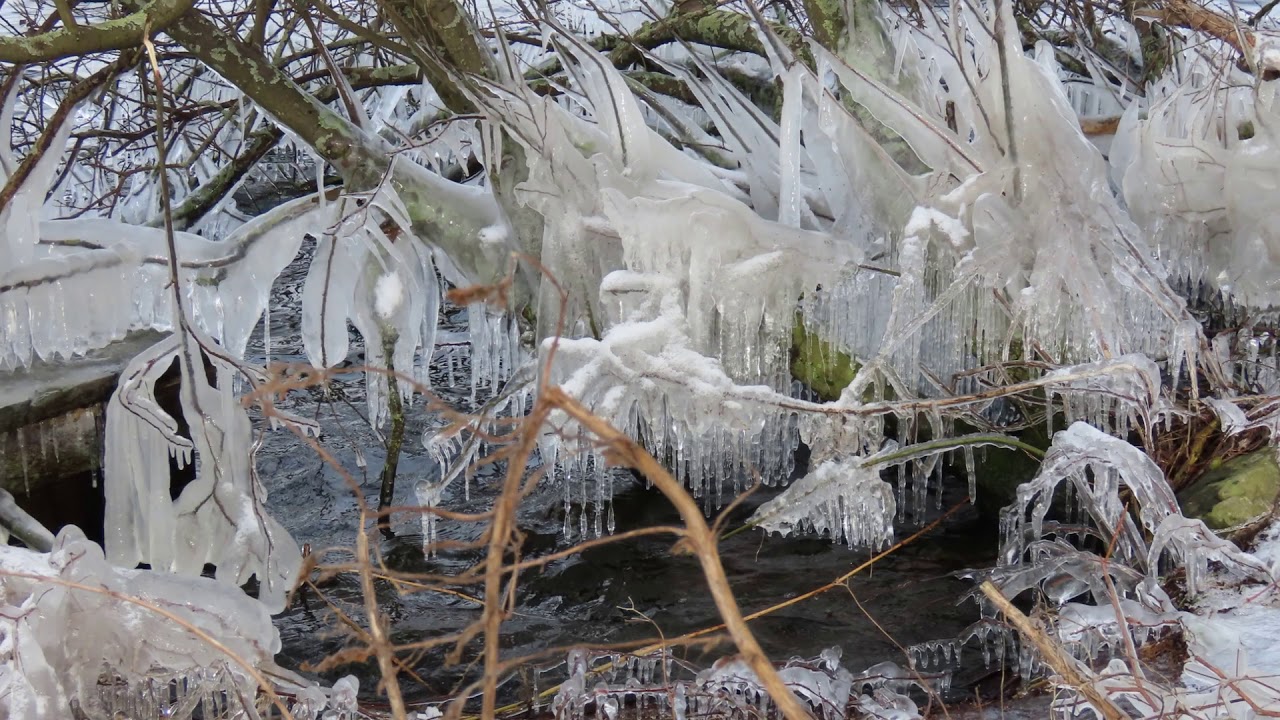 Winterse taferelen in het Twiske -  10 feb 2021