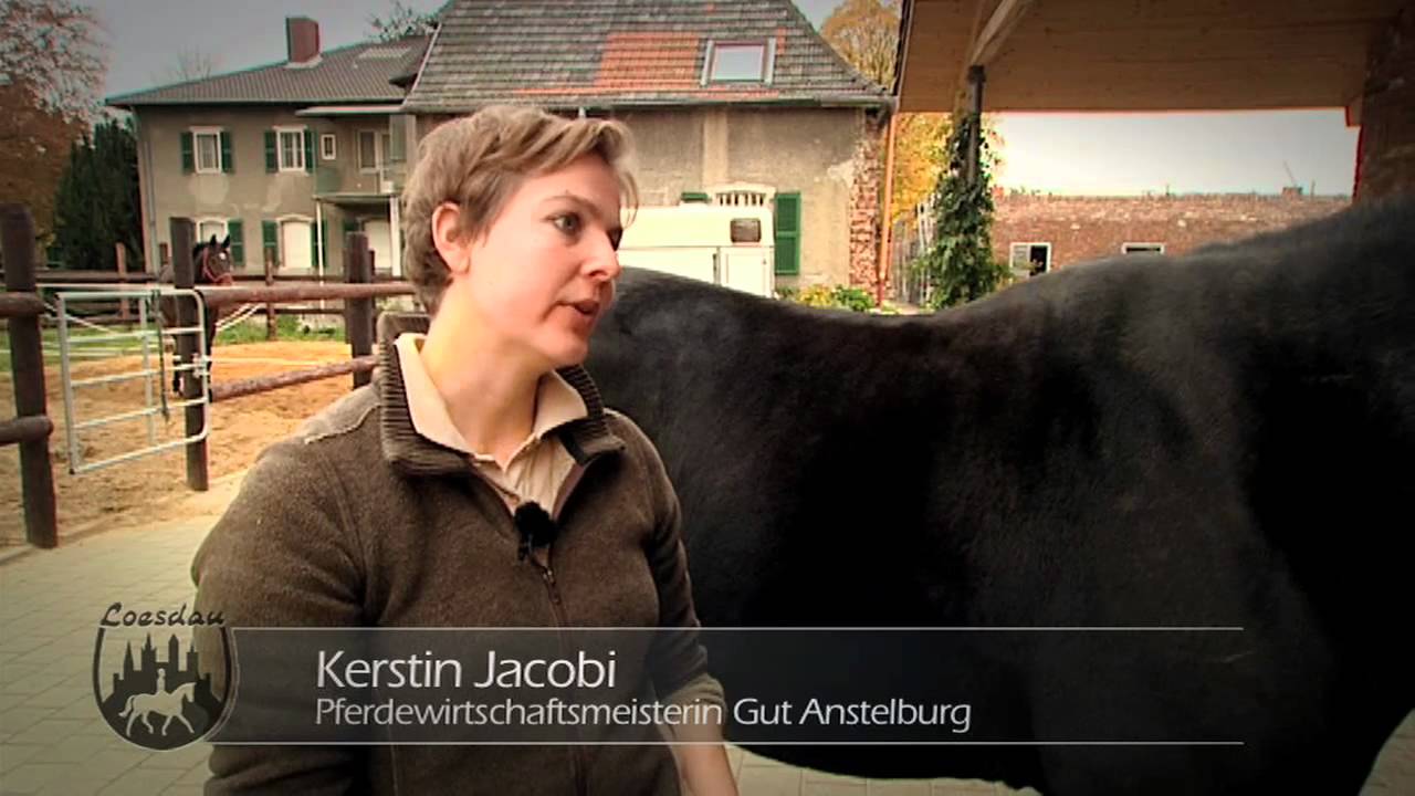 Loesdau Lessons: Basics mit Kati: Das Pferd pflegen und putzen Teil 1