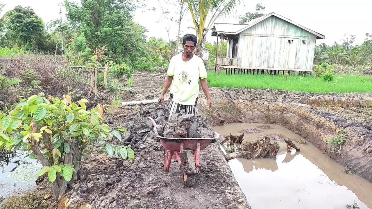 HABIS HUJAN PAK WANI MELANJUTKAN PERAPIAN HALAMAN RUMAH 
