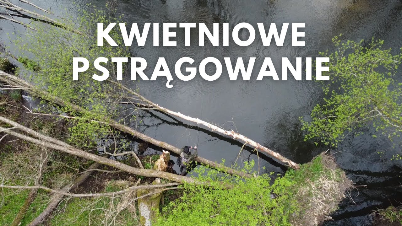 Pstrągi 2022 #1 Pstrągi w kwietniu