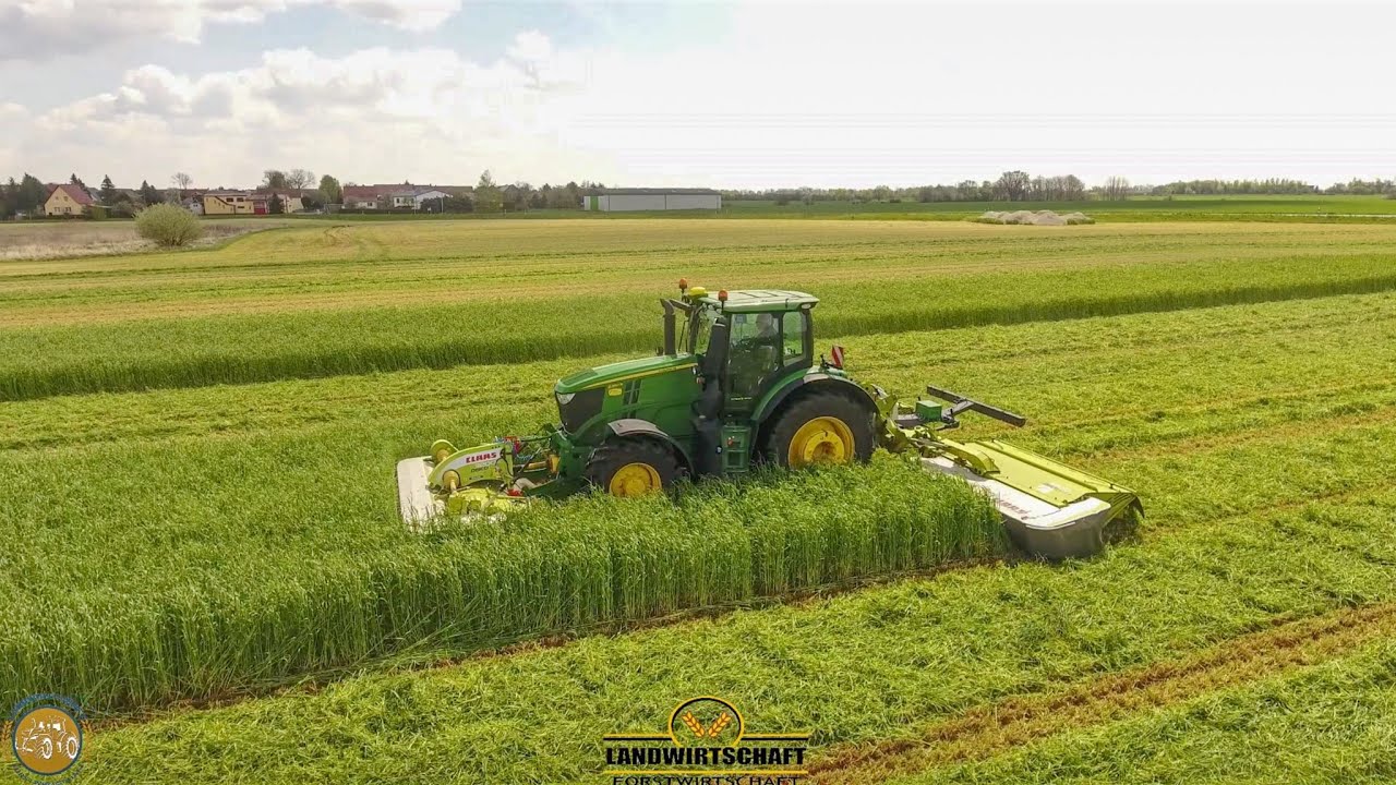 Futter Roggen mähen 2021 John Deere 6250R & Claas Mähkombination GPS -Ganzpflanzensilage