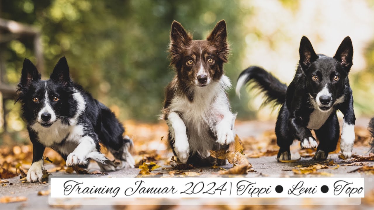 Training mit Silas Boogk | Januar 2024 | Dani Lehrer mit Tippi, Leni & Topo