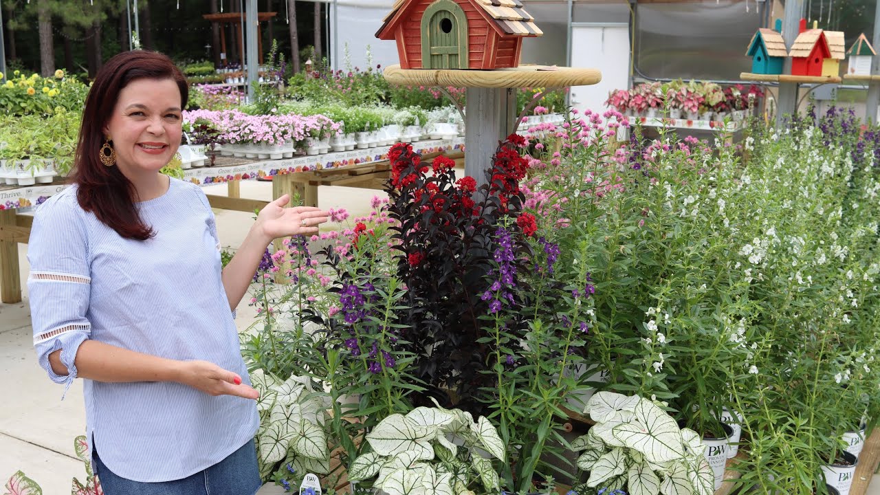 Red, White, and Blue Flowers in the Garden | Gardening with Creekside