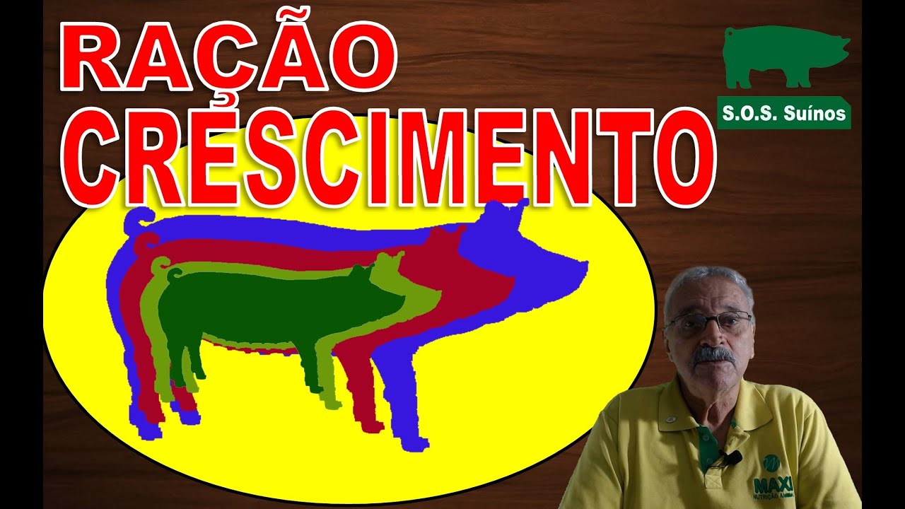 SUINOCULTURA: Ra&ccedil;&atilde;o Su&iacute;no Crescimento (Ra&ccedil;&atilde;o Recria)