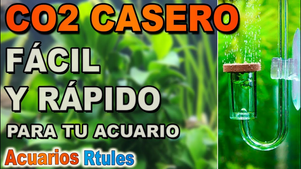 Cómo hacer Co2 casero para acuario con levadura |FUNCIONA|