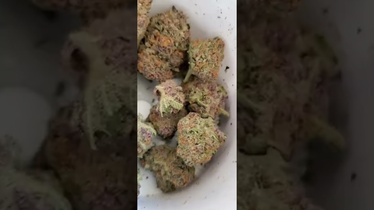 Tetra Cannabis Club