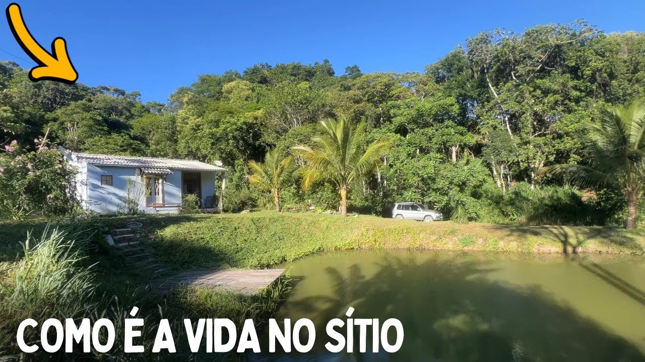 TRABALHAMOS MUITO E NEM LEMBRAMOS QUE ERA CARNAVAL🎭/Bora pra Ro&ccedil;a?