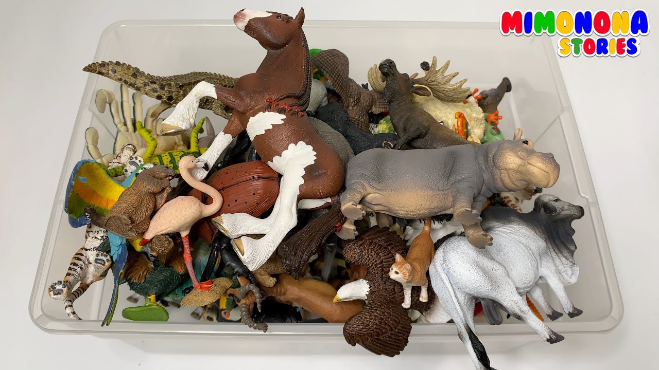 Nombres de Animales 🐞 Domésticos Salvajes Marinos y mas 🐴 Colección de Animales ✨ Mimonona Stories