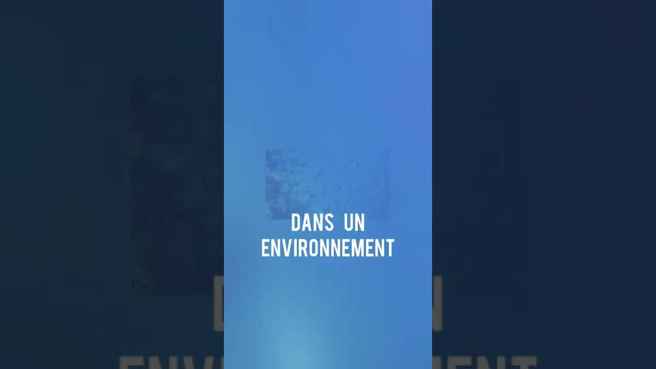 l'exercice le plus difficile pour les plongeurs d&eacute;butants !!!