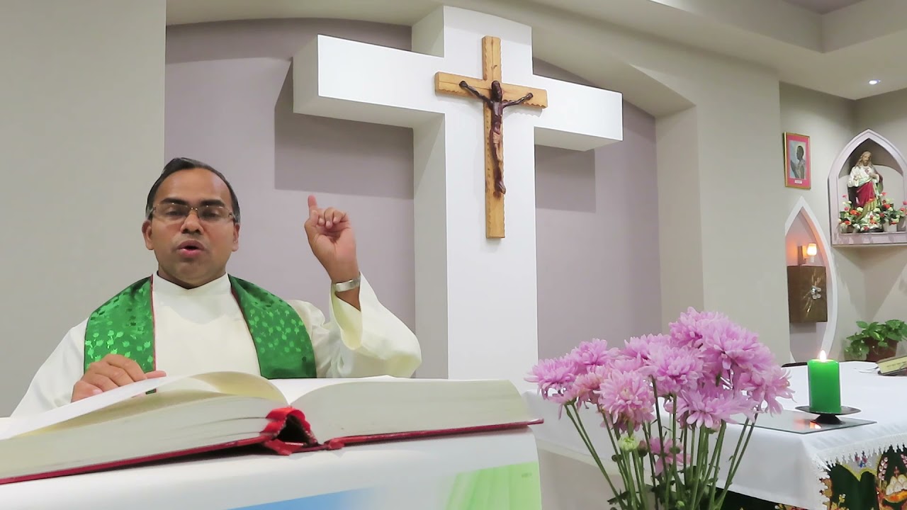 Homily for 27th Sunday B