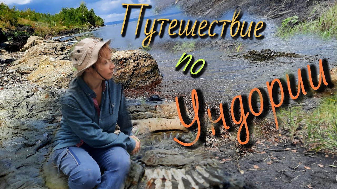 Окаменелости и минералы Ульяновской области. Ундоры, Городищи, Долина Кристаллов, Сланцевый рудник.