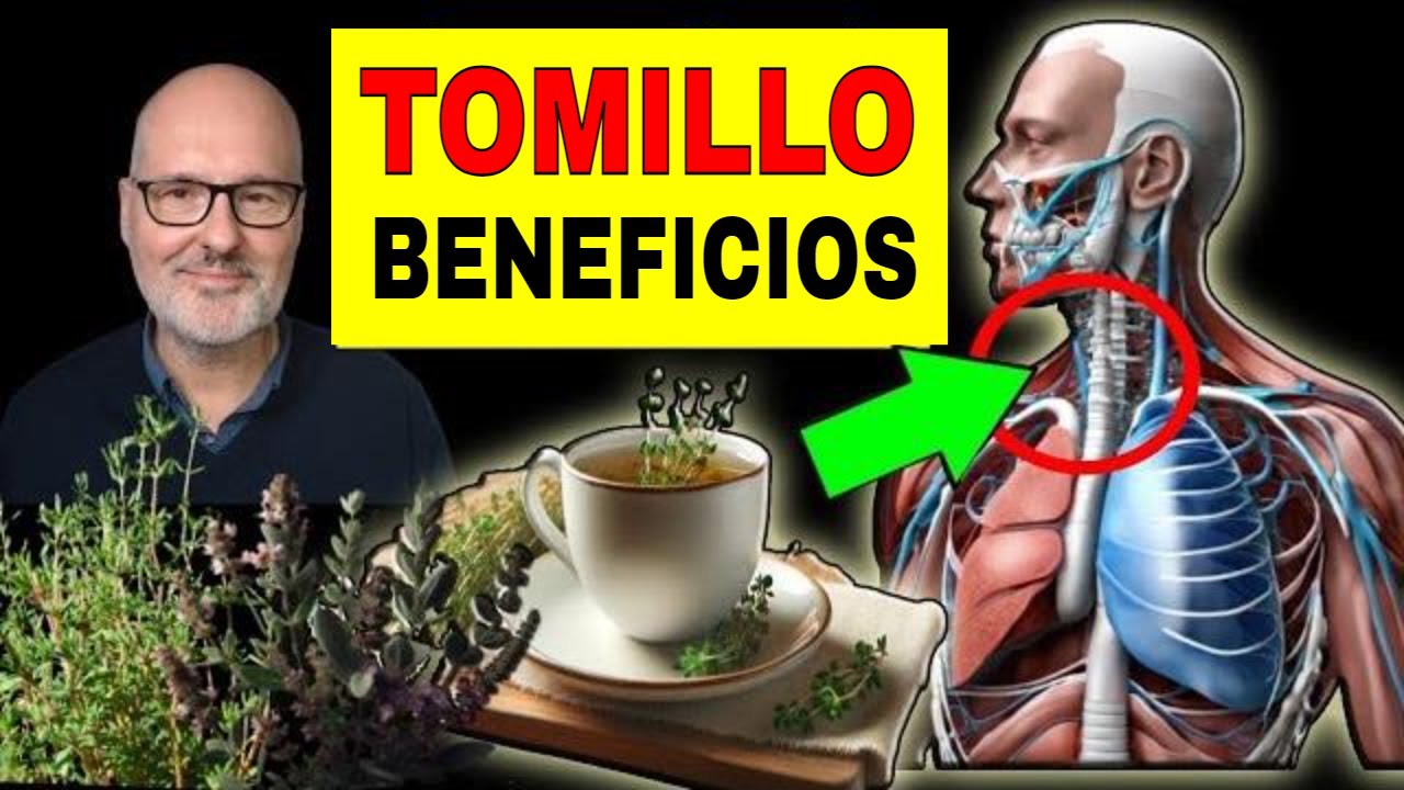 TOMILLO: POTENCIADOR DE LA SALUD QUE MERECE TU ATENCIÓN