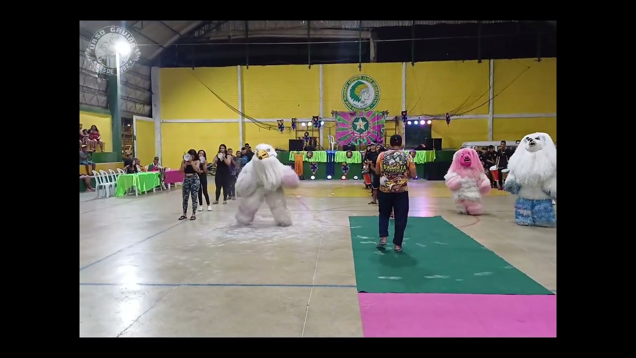 URSO GAVIÃO NA FESTA DA UNIDOS 2025