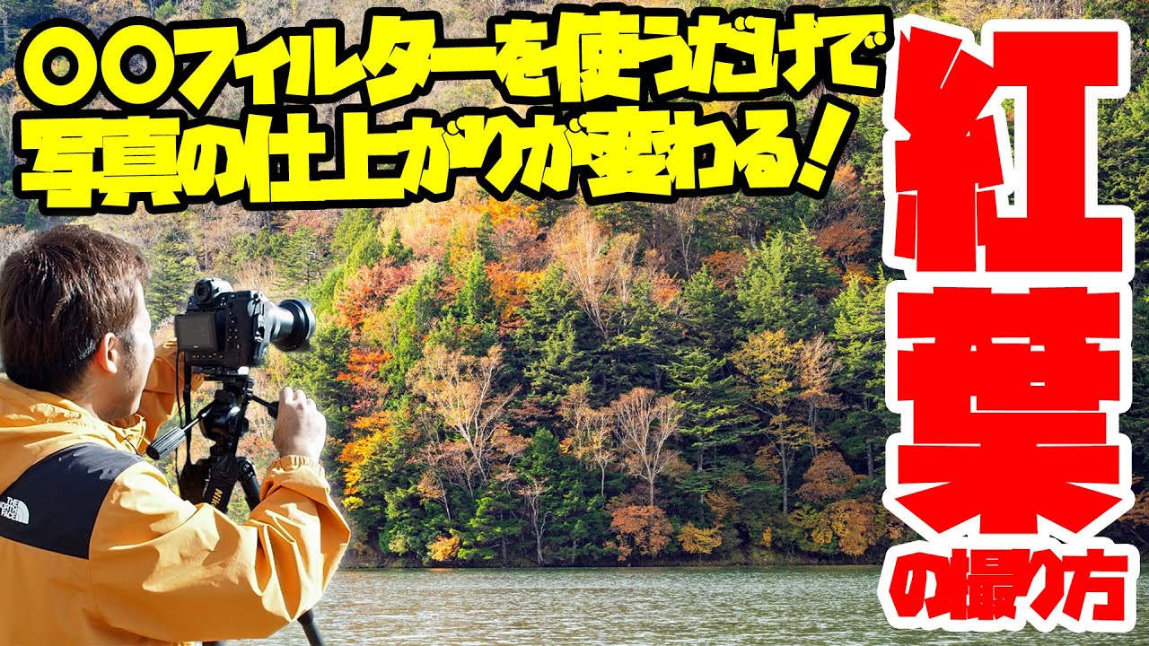 誰でも撮れる！上手な紅葉の撮り方 -フィルターを活用してプロのような写真を撮る