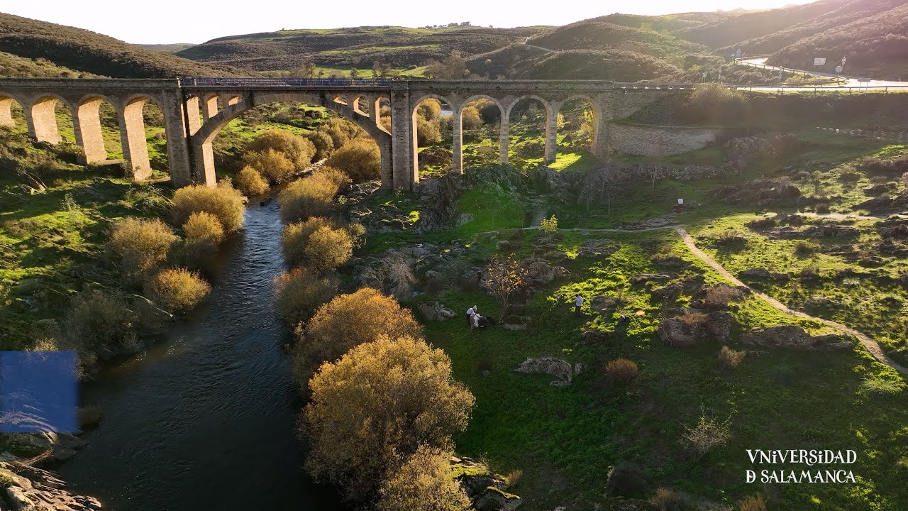 La USAL impulsa la conservación del arte rupestre de Siega Verde