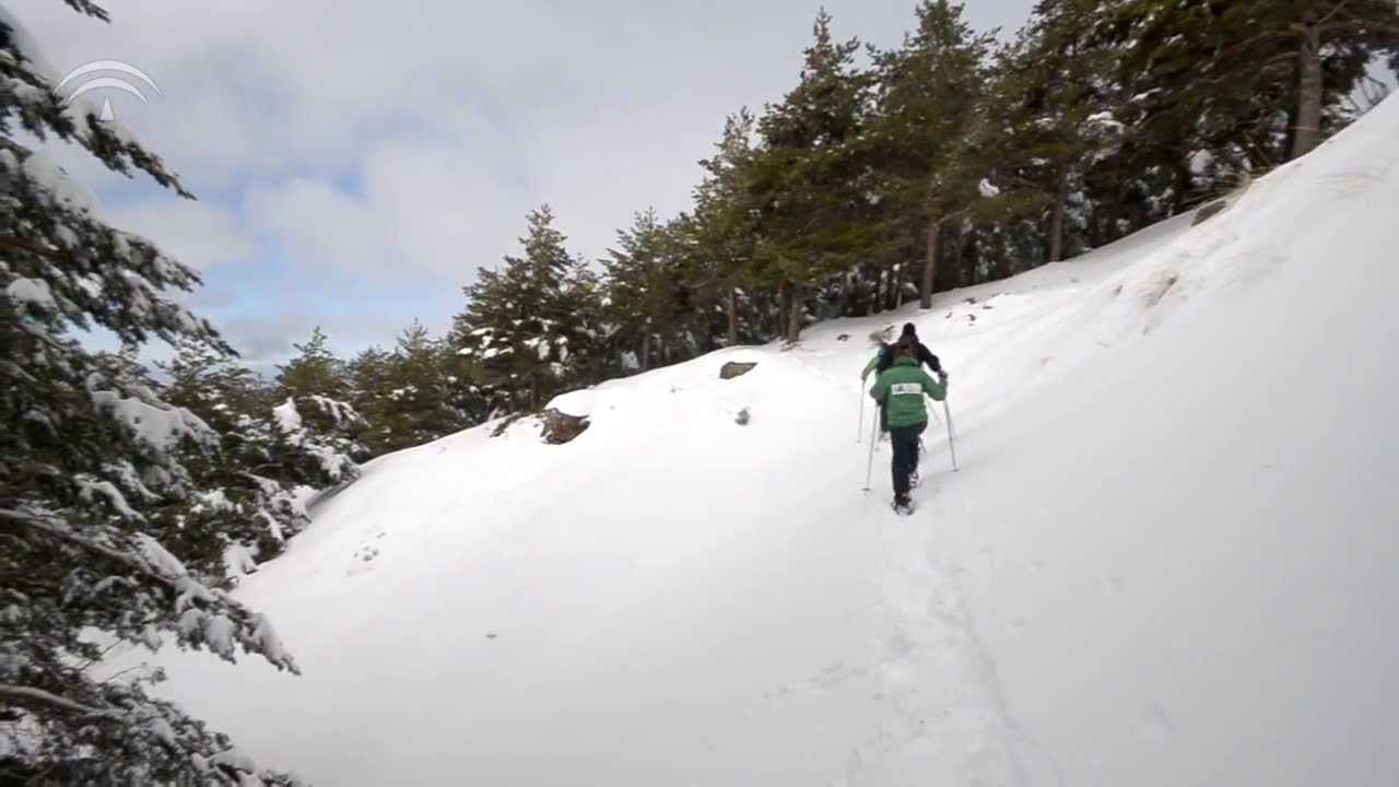 Ruta en Sierra Nevada (Granada) ¡con raquetas de nieve!