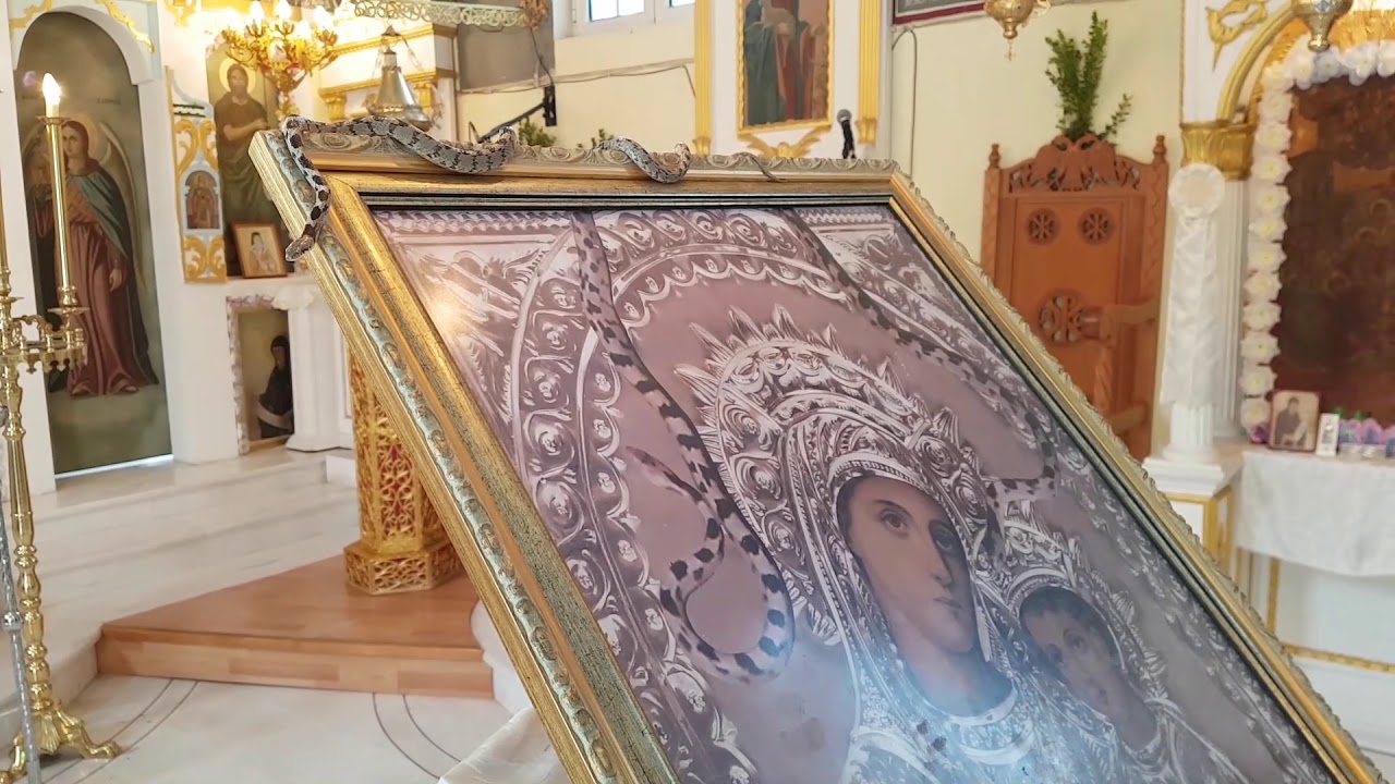 Panagia Fidousa Kefalonia &Pi;&alpha;&nu;&alpha;&gamma;ί&alpha; &Phi;&iota;&delta;&omicron;ύ&sigma;&alpha; &Kappa;&epsilon;&phi;&alpha;&lambda;&omicron;&nu;&iota;ά&sigmaf; - The Snakes!