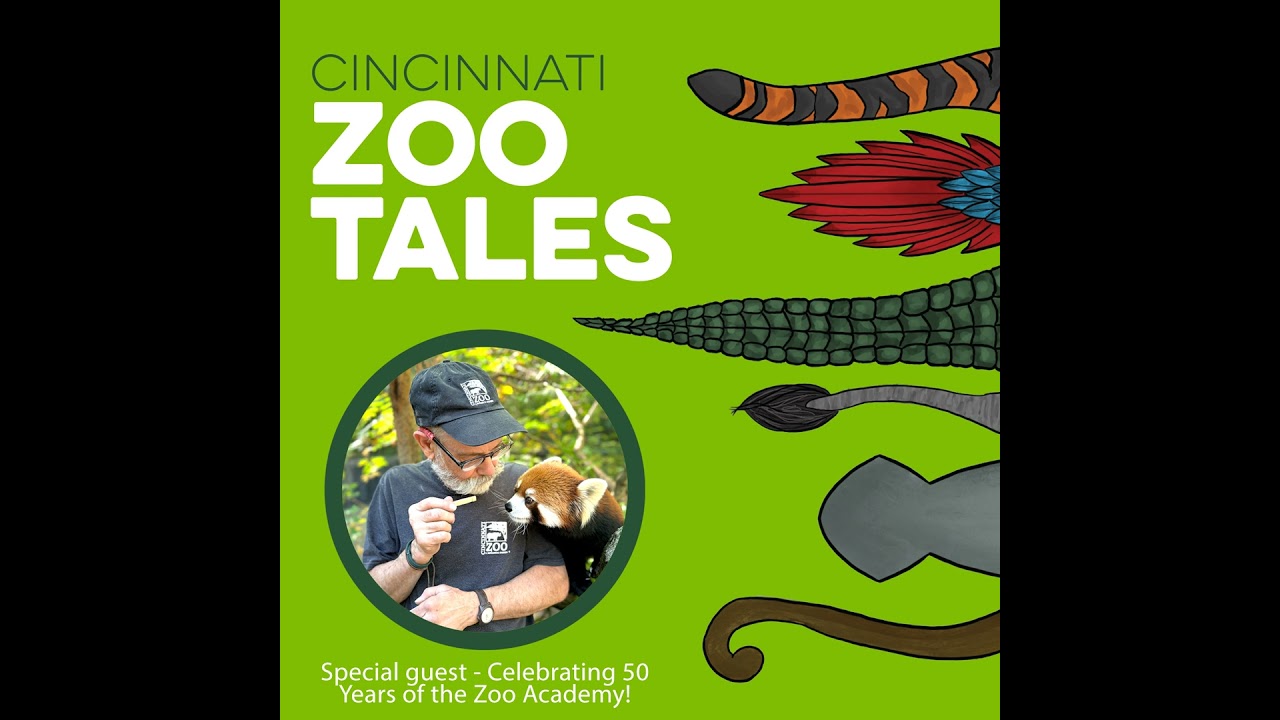 Celebrating 50 Years of Zoo Academy at the Cincinnati Zoo