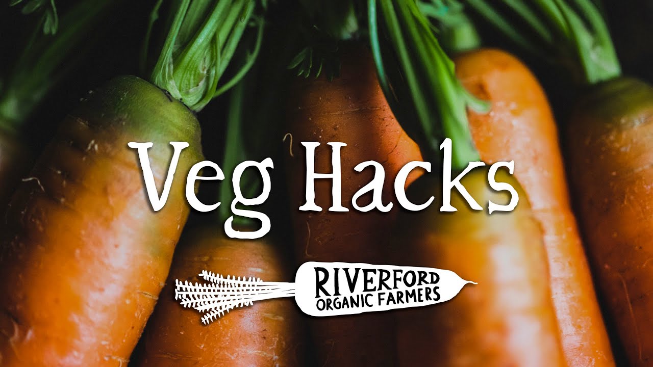 The Breakdown | Bunched Carrots | VEG HACKS