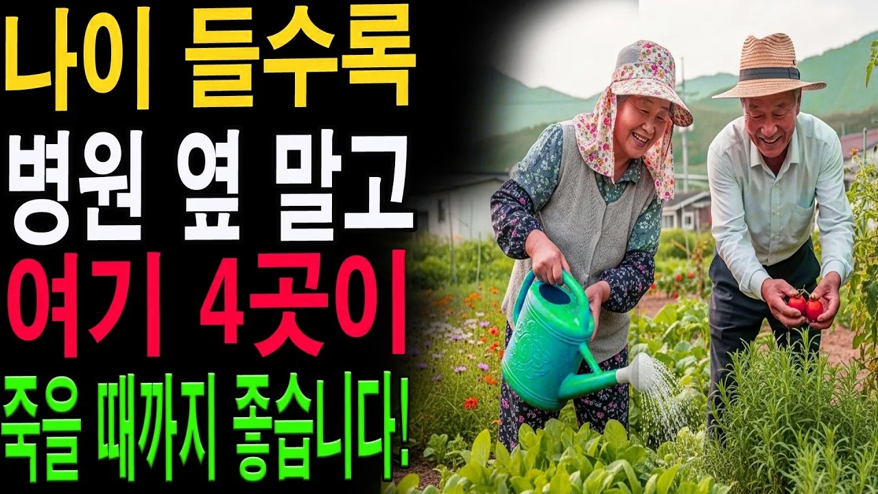 60대 이후 혼자 살기 가장 적합한 집｜노후를 안전하고 행복하게 보내는 방법|노년의 지혜| 노후 건강|자연 치유|건강과 장수|