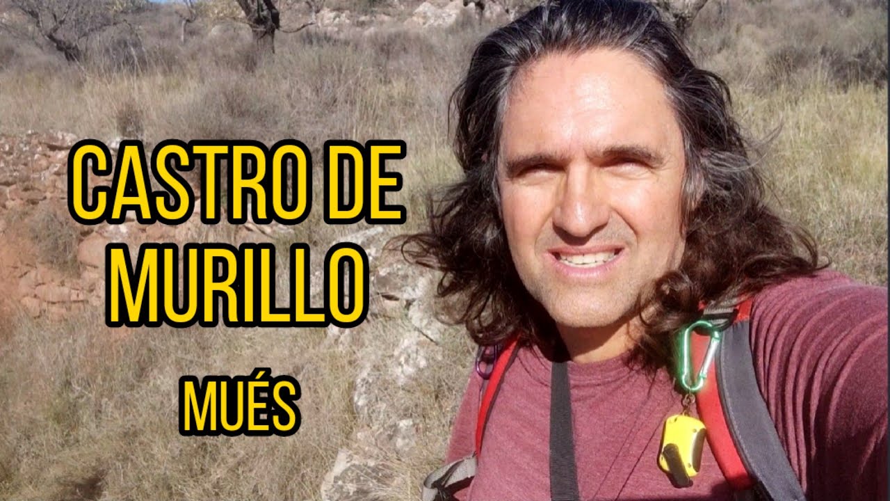 CASTRO DE MURILLO (Mués)