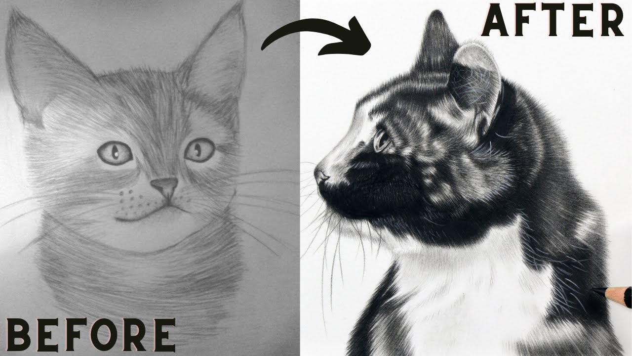 12 TIPS to QUICKLY IMPROVE your GRAPHITE DRAWINGS