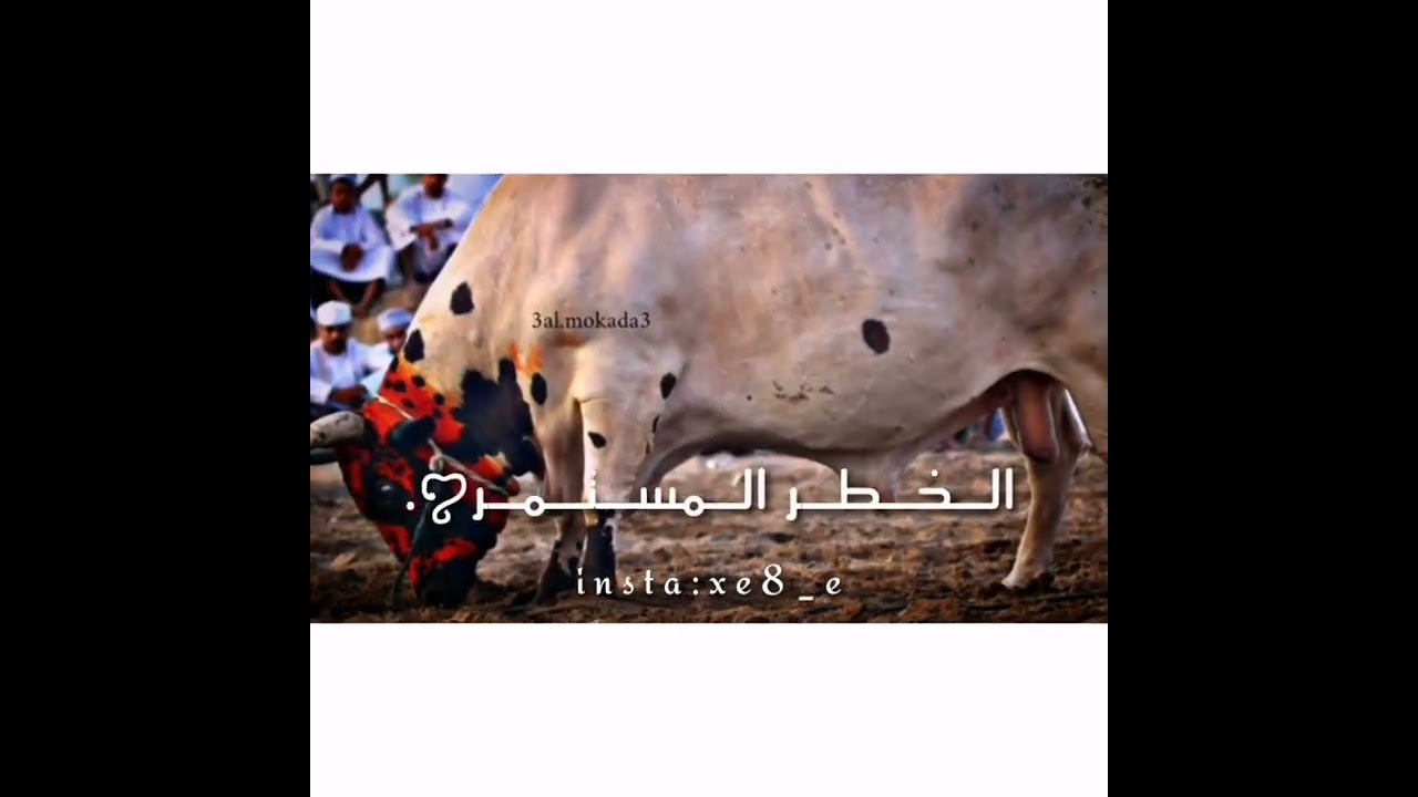 نـار حـوسـن الـجـمـاهـيـر🤍🔥