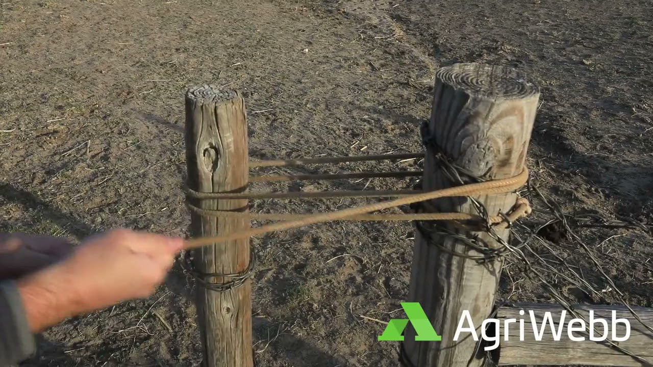 Ranch Hack: Save time opening and closing gates with Lariat rope | AgriWebb