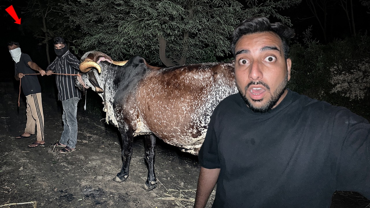 Radhika Ki Chori Kaise Hui 🐄😱 Deepak Ki Galti 😡