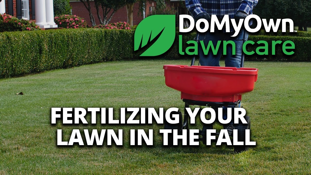Fall Fertilizer Tips | DoMyOwn.com