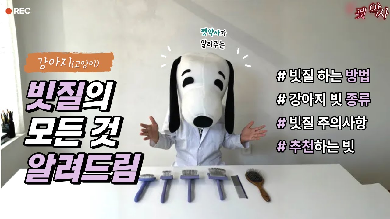 강아지 빗질의 모든 것 - 빗 종류 / 선택방법 / 주의사항 / 추천제품 / 부위별 빗질방법