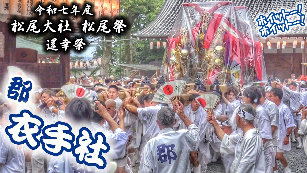 2025年 京都 松尾大社 おかえり【衣手社】郡青年会 神輿 階段上り·拝殿回し 2025.5.11 京都市 西京区 松尾祭 還幸祭