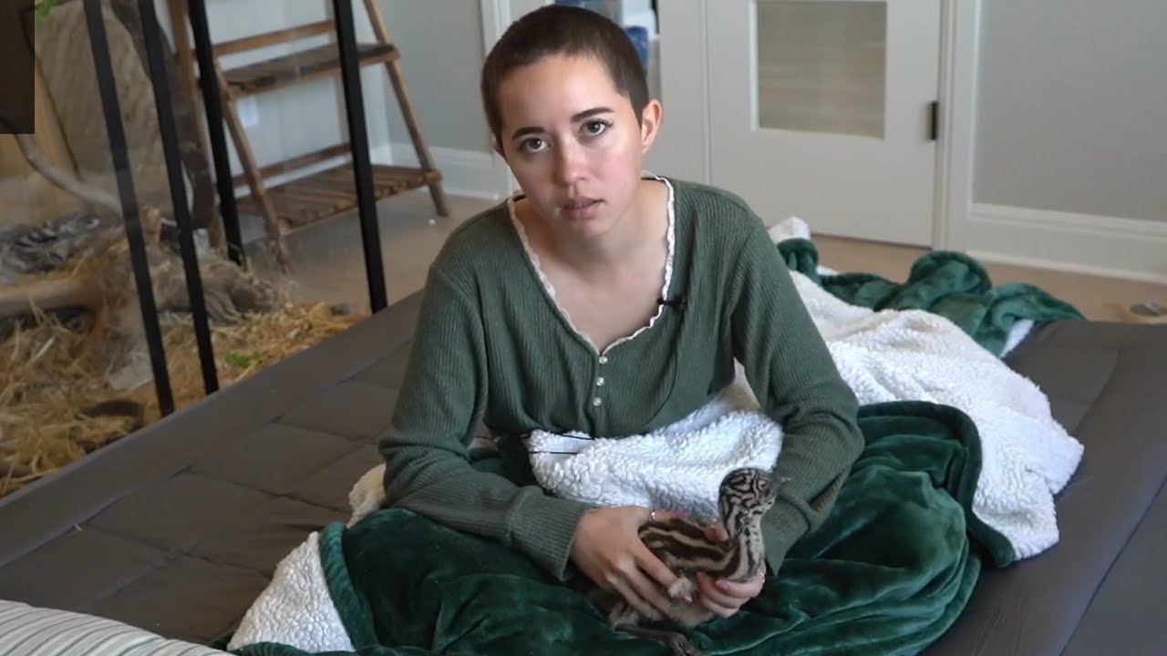 Maya plays with Stompy the Emu and answers questions!
