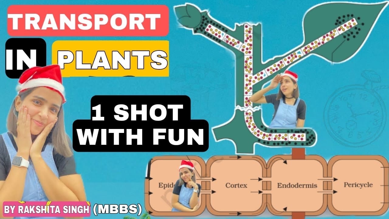 Transport In Plants | Class 11 NCERT | One Shot | Best Biology Crash Course | Rakshita Singh