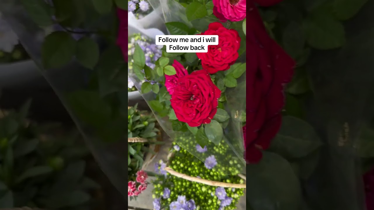 Grow your following: a simple strategy#growaudience #followforfollowback #supportcreators