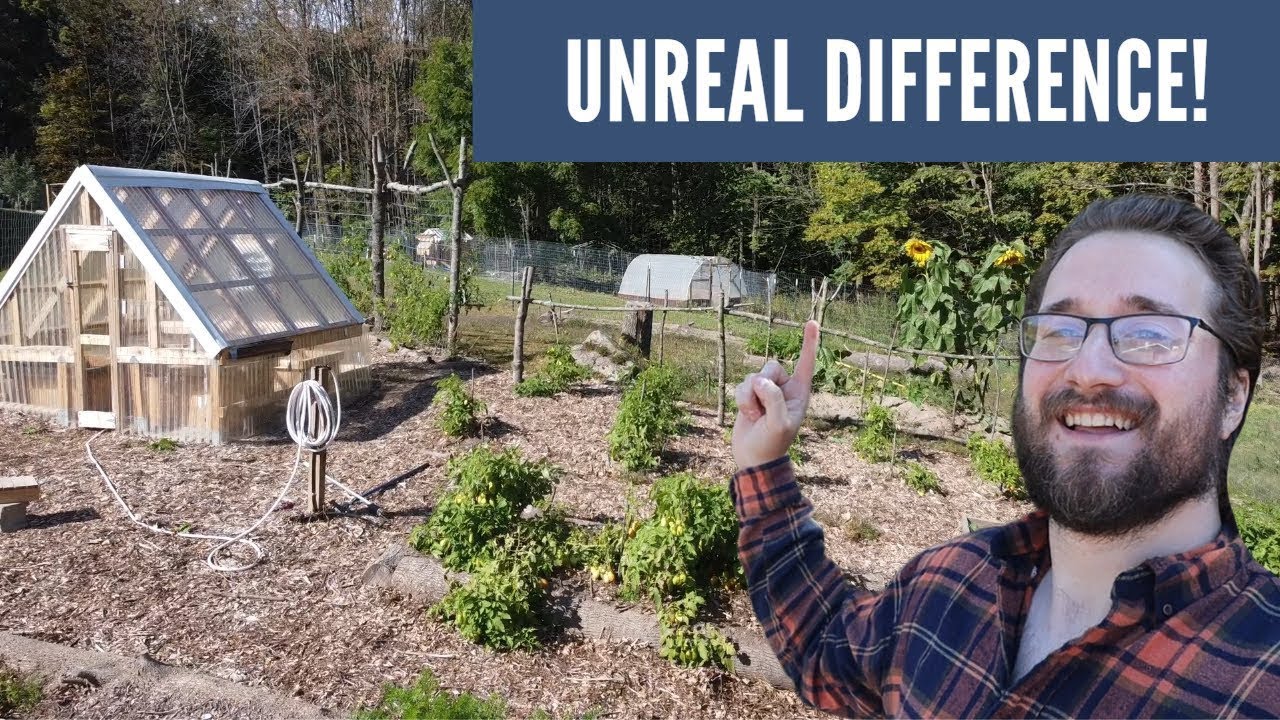 SIX MONTH UPDATE: Building A Self Sufficient Homestead From RAW LAND