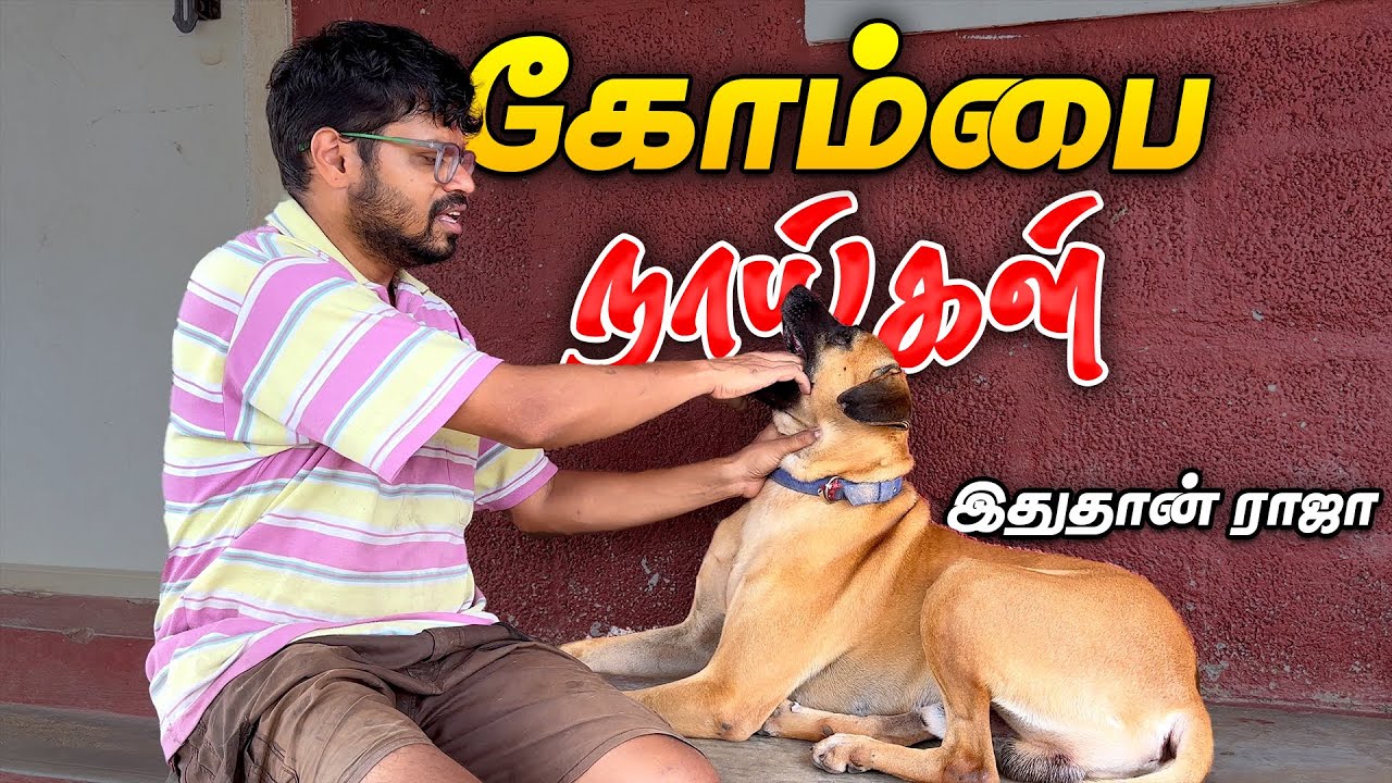 🐕ஆள் இல்லாதப்போ வந்தா கண்டிப்பா கடிச்சுரும் - நாய்களில் இதுதான் ராஜா | Smart Vivasayi