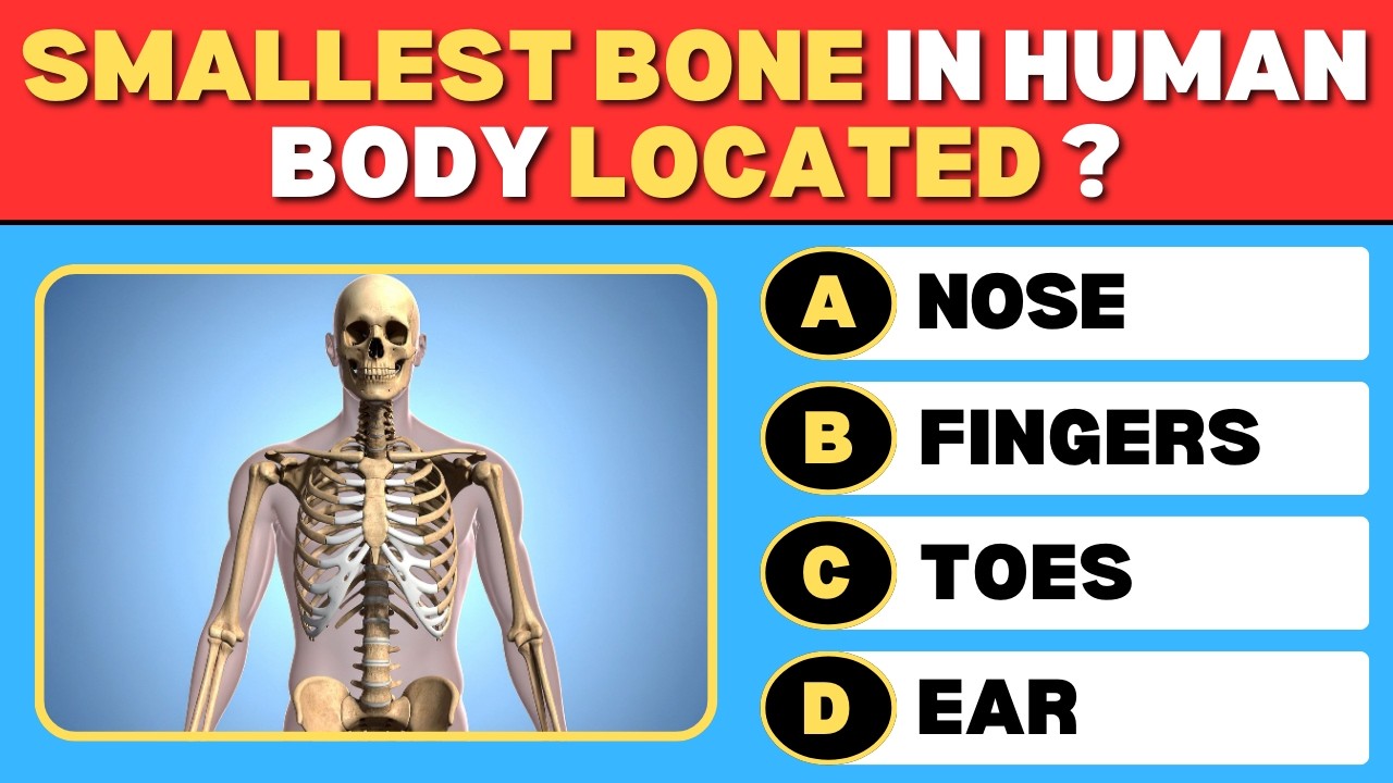 You Brain is Sharp if you SCORE 30+ 🧠 40-Questions Human Body Trivia Quiz 🏥