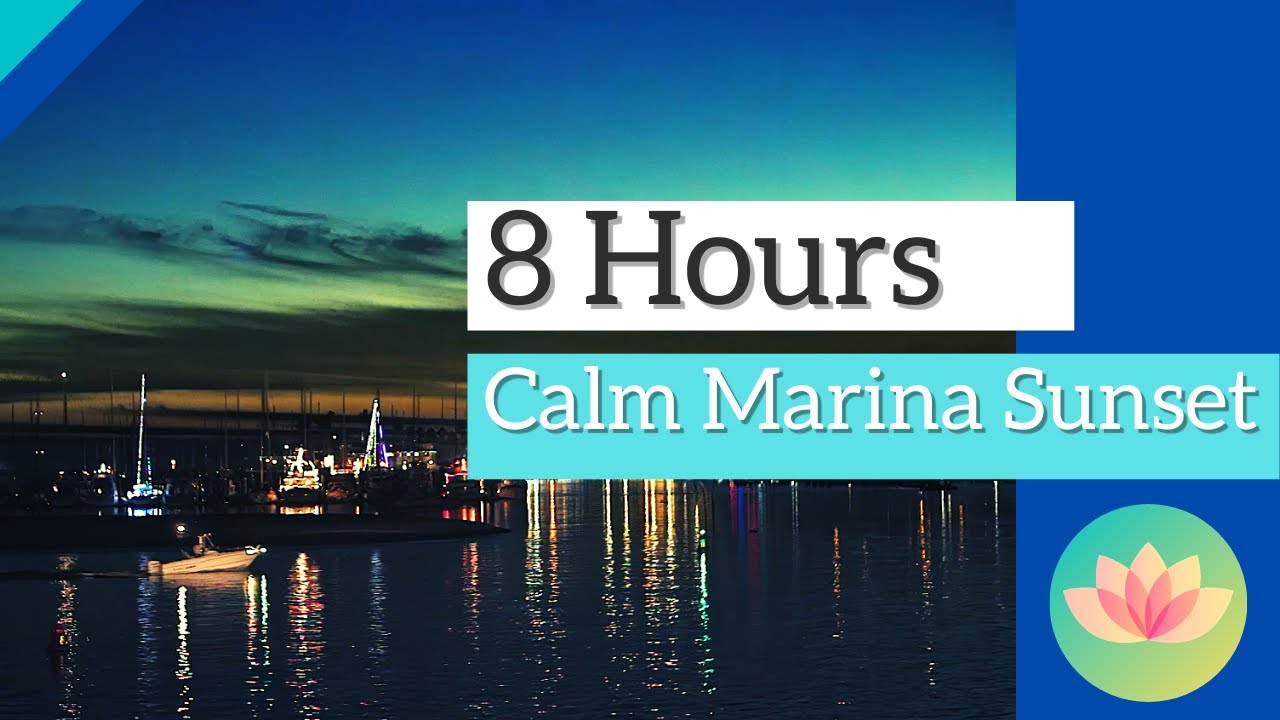 Calm Marina Sunset - Calm Water, Distant Ships, Seals and Buoy Sounds (8 Hours of Relaxation)